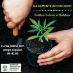 Da semente ao Paciente: curso de cultivo de cannabis.