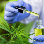 O Opinião repercute a decisão da Anvisa que autorizou a venda de produtos à base de cannabis, mas manteve a proibição do cultivo da planta.