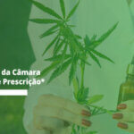 Curso: Prescrição de Cannabis Medicinal