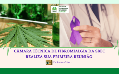 CÂMARA TÉCNICA DE FIBROMIALGIA DA SBEC REALIZA SUA PRIMEIRA REUNIÃO