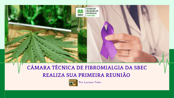 Copia de CAMARA TECNICA DE FIBROMIALGIA DA SBEC REALIZA SUA PRIMEIRA REUNIAO