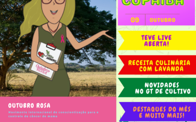 Newsletter de Outubro. Confira!